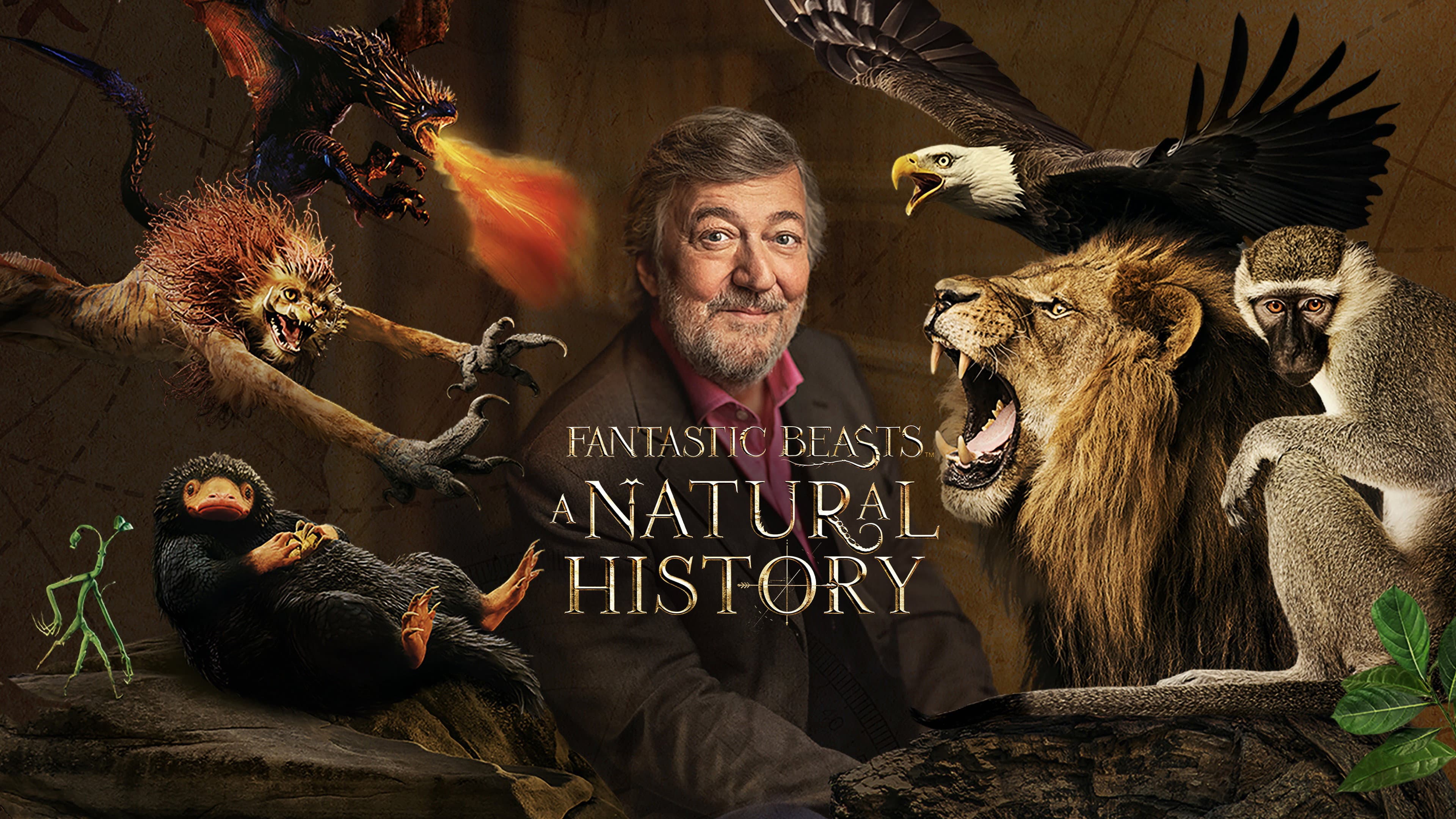 Fantastic Beasts: A Natural History - immagine