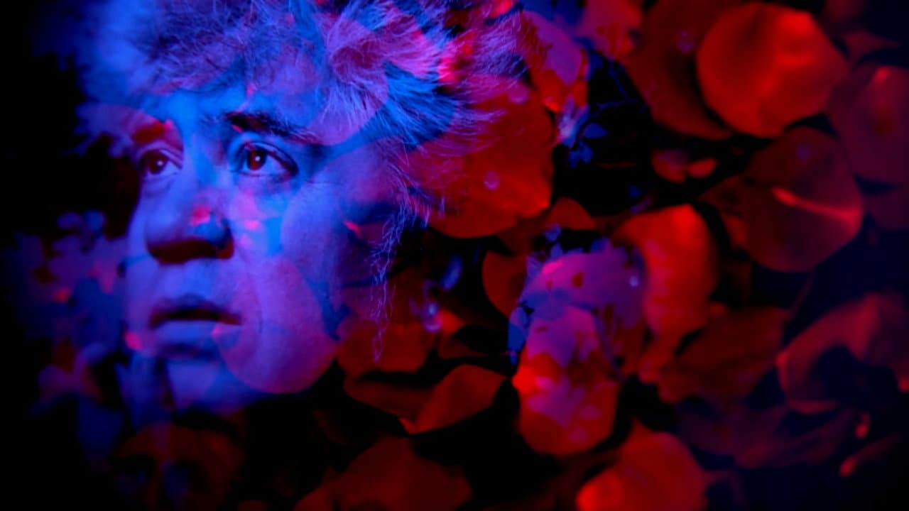 Almodóvar, todo sobre ellas - immagine