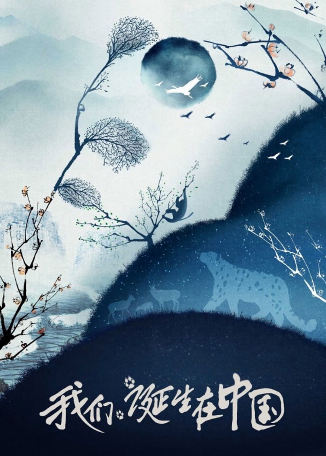 Poster di Nati in Cina
