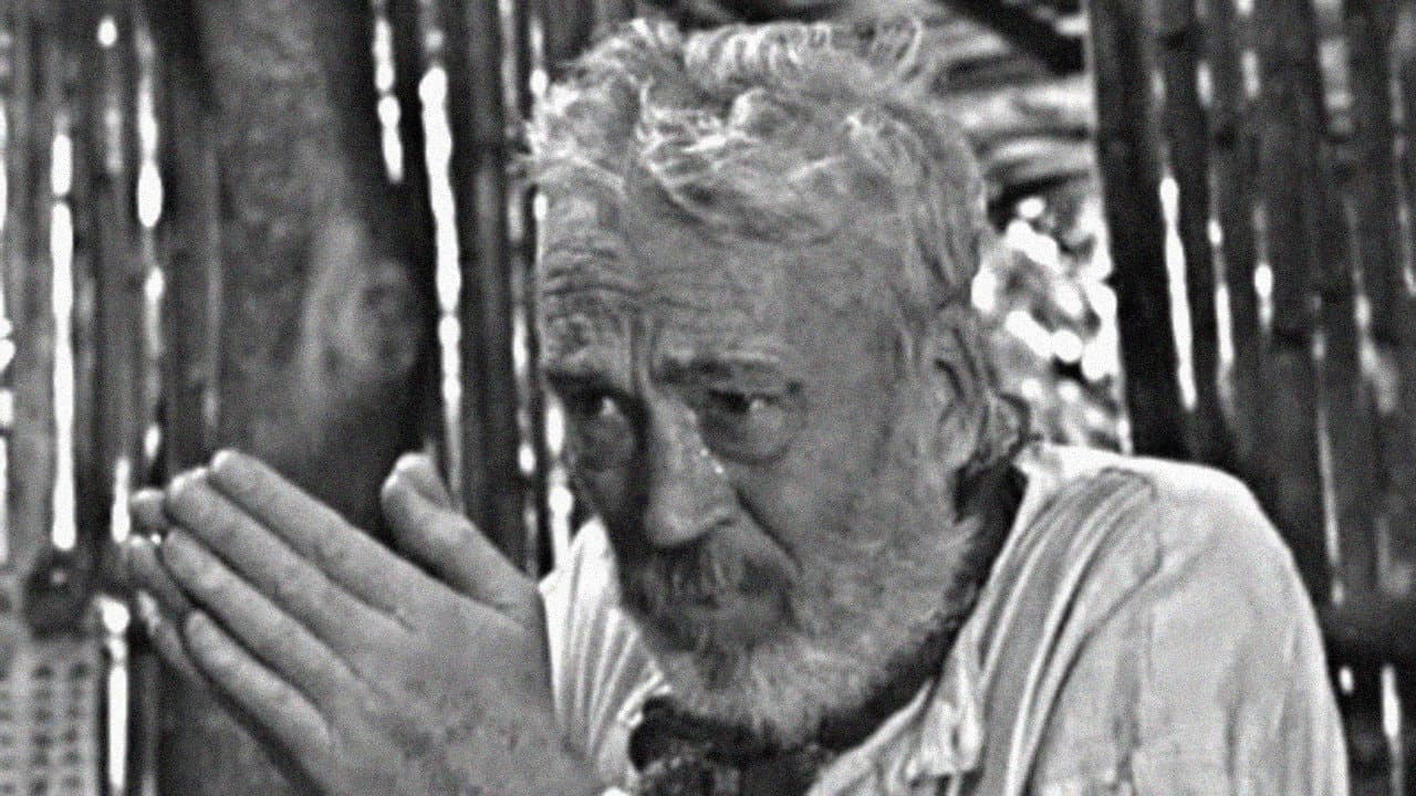 The Bridge in the Jungle - immagine