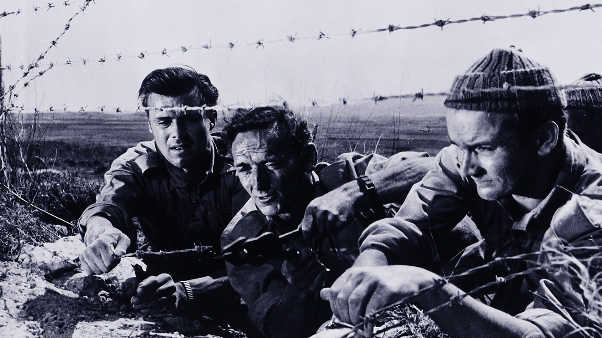 Operazione commandos - immagine
