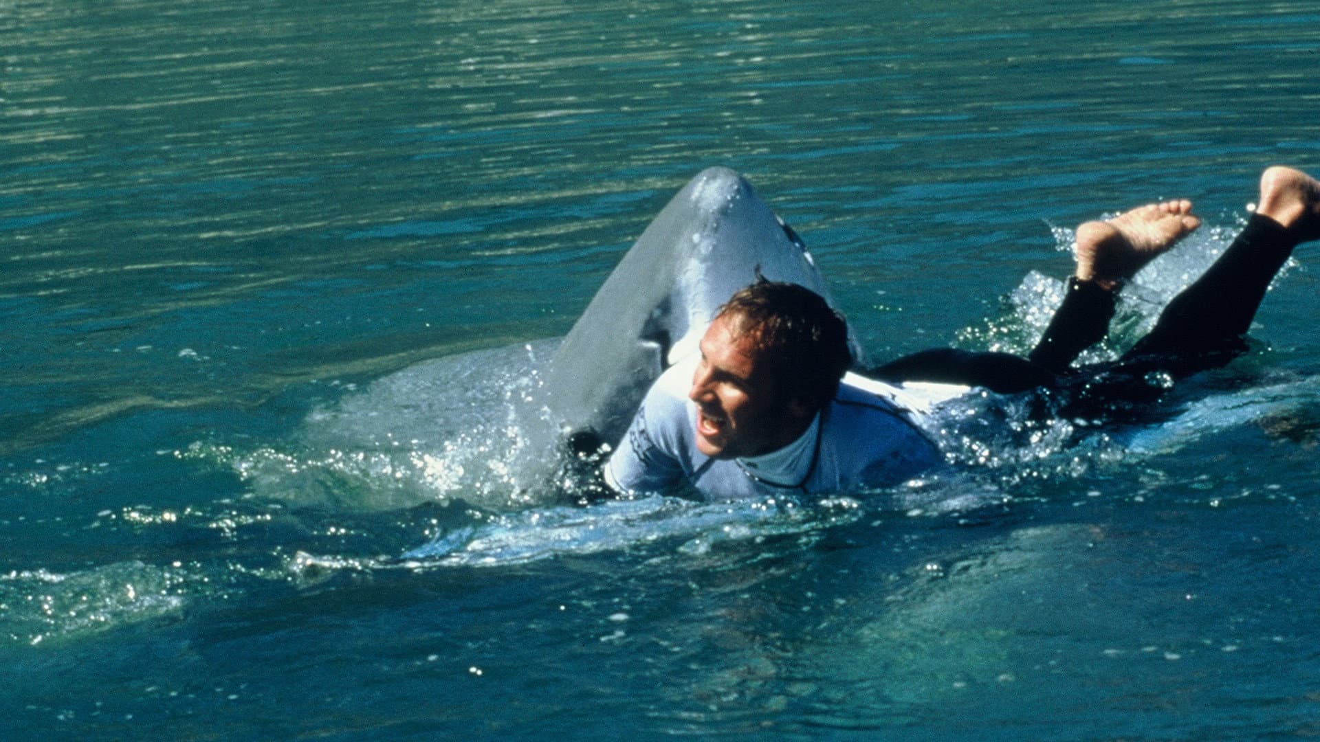 Shark Attack 2 - immagine