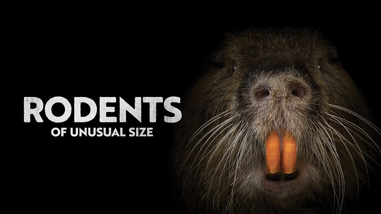 Rodents of Unusual Size - immagine