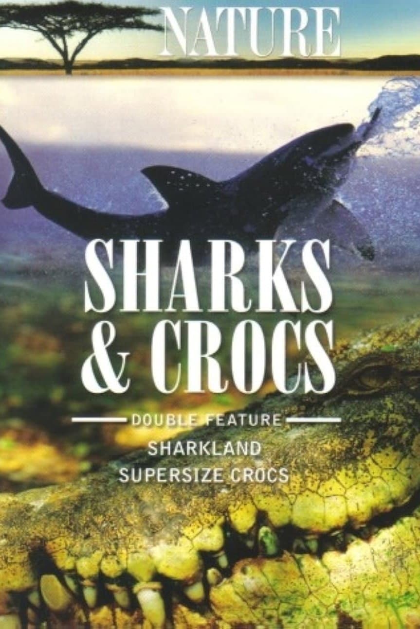 Poster di Sharkland