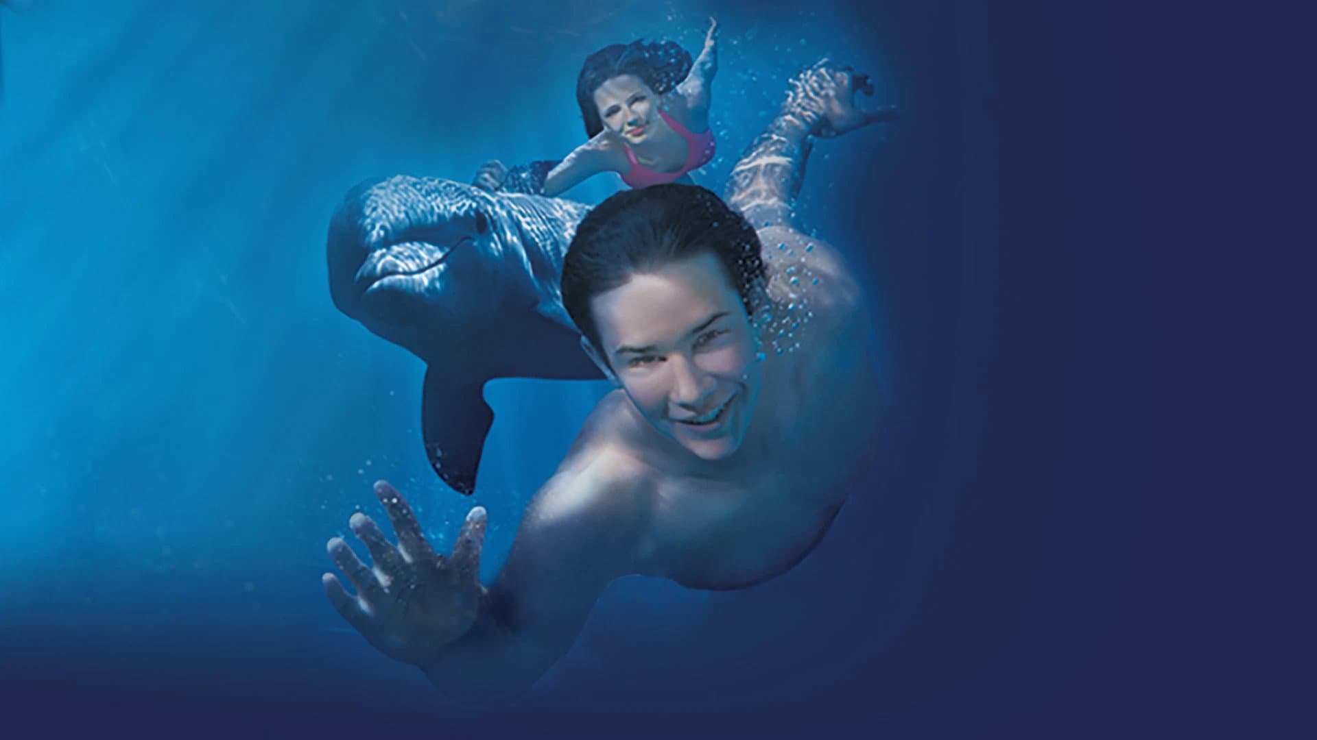 Vicky e i delfini - immagine