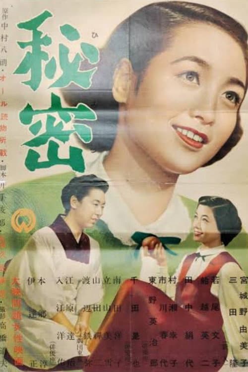 Poster di 秘密
