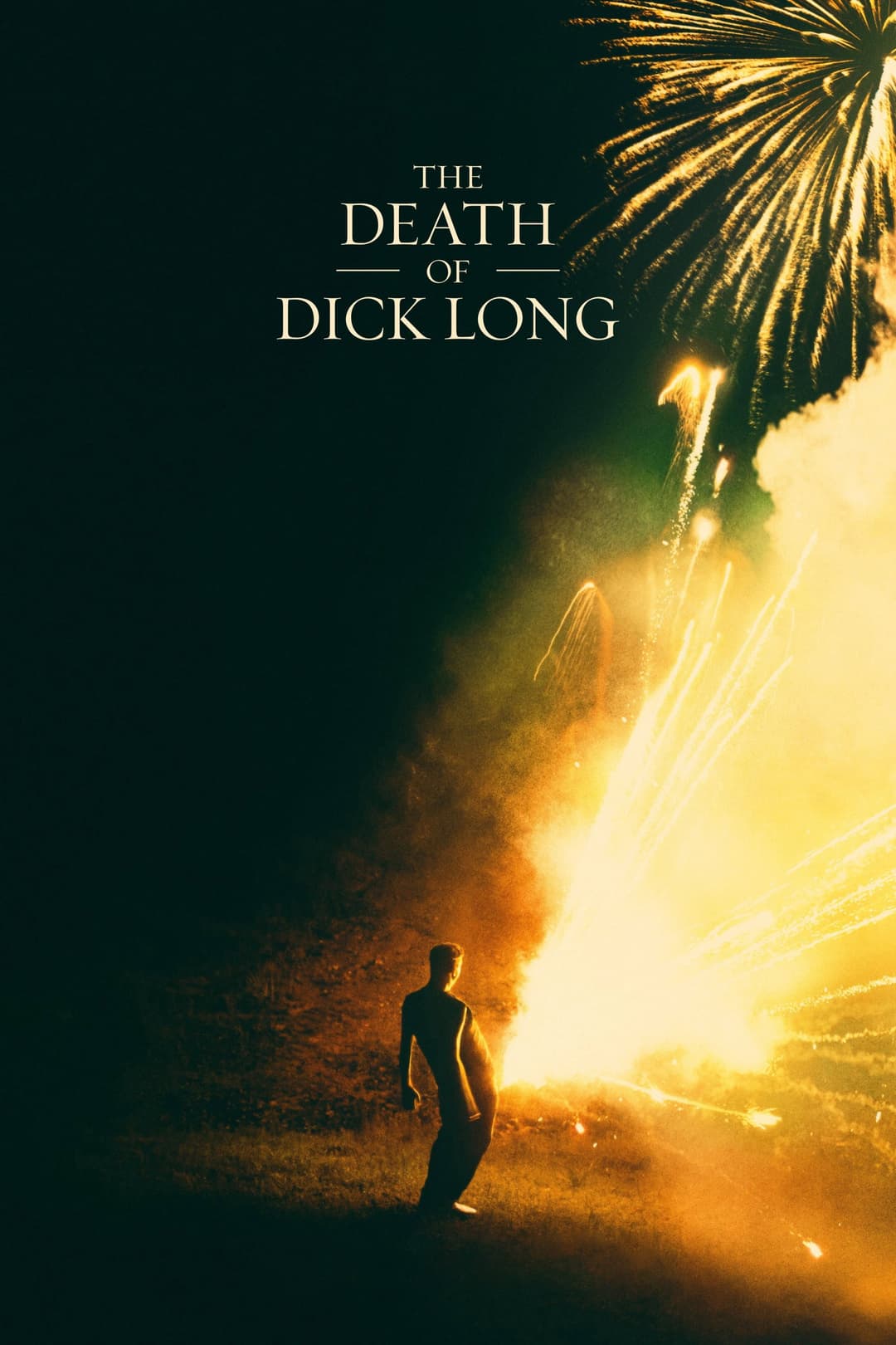 Poster di The Death of Dick Long