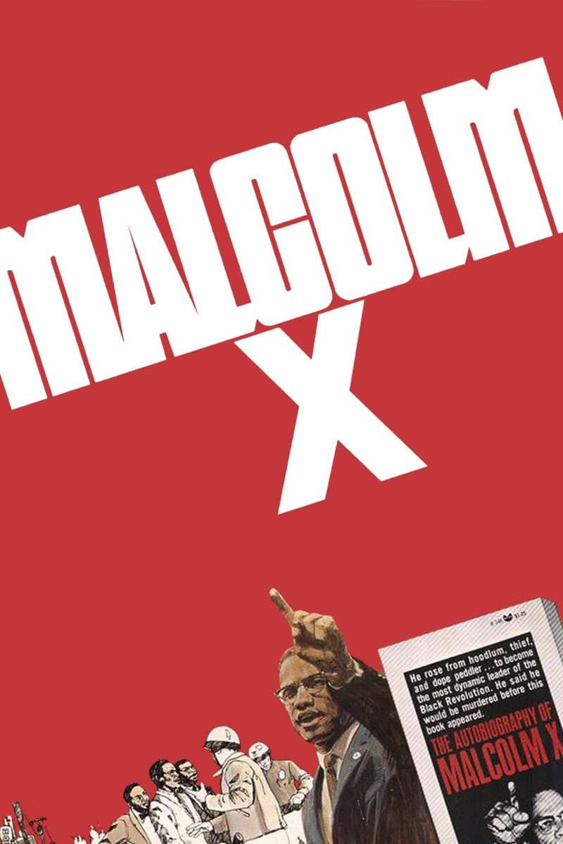 Poster di Malcolm X