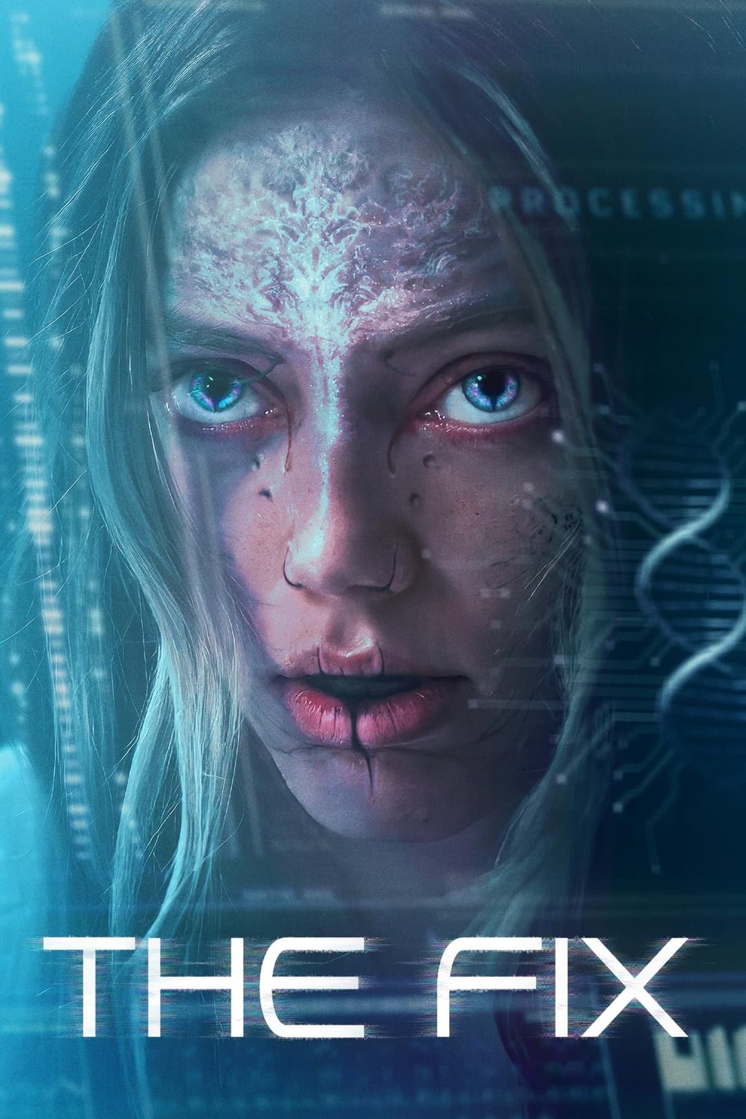 Poster di The Fix
