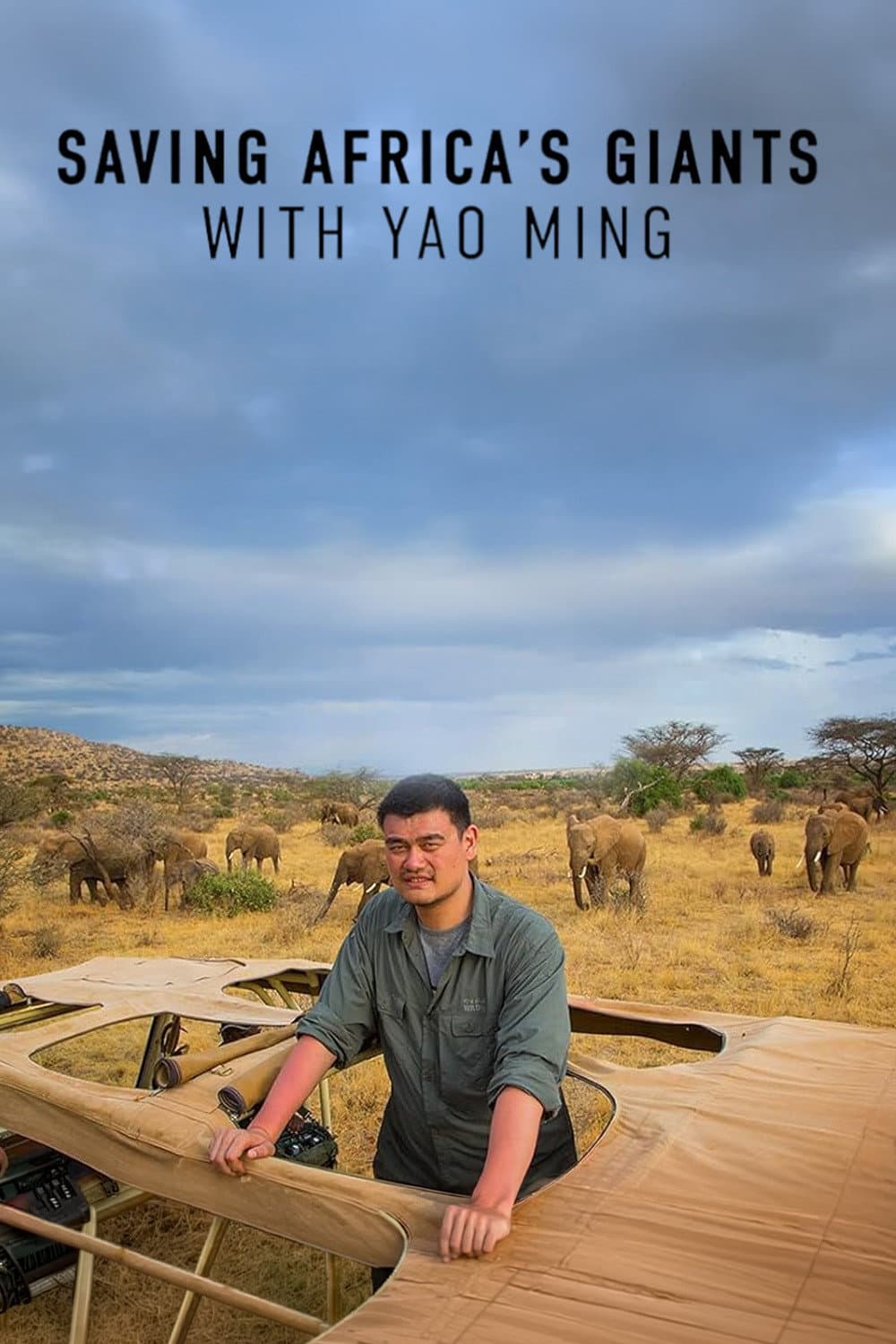 Poster di Saving Africa's Giants With Yao Ming