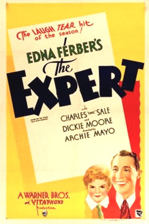 Poster di The Expert