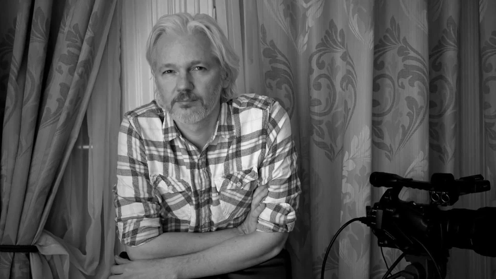 The Trust Fall: Julian Assange - immagine