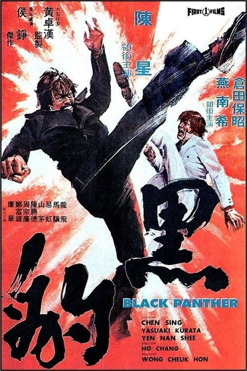 Poster di Ordine da Hong Kong: uccidete la pantera nera