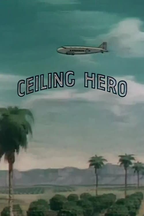Poster di Acrobati del cielo