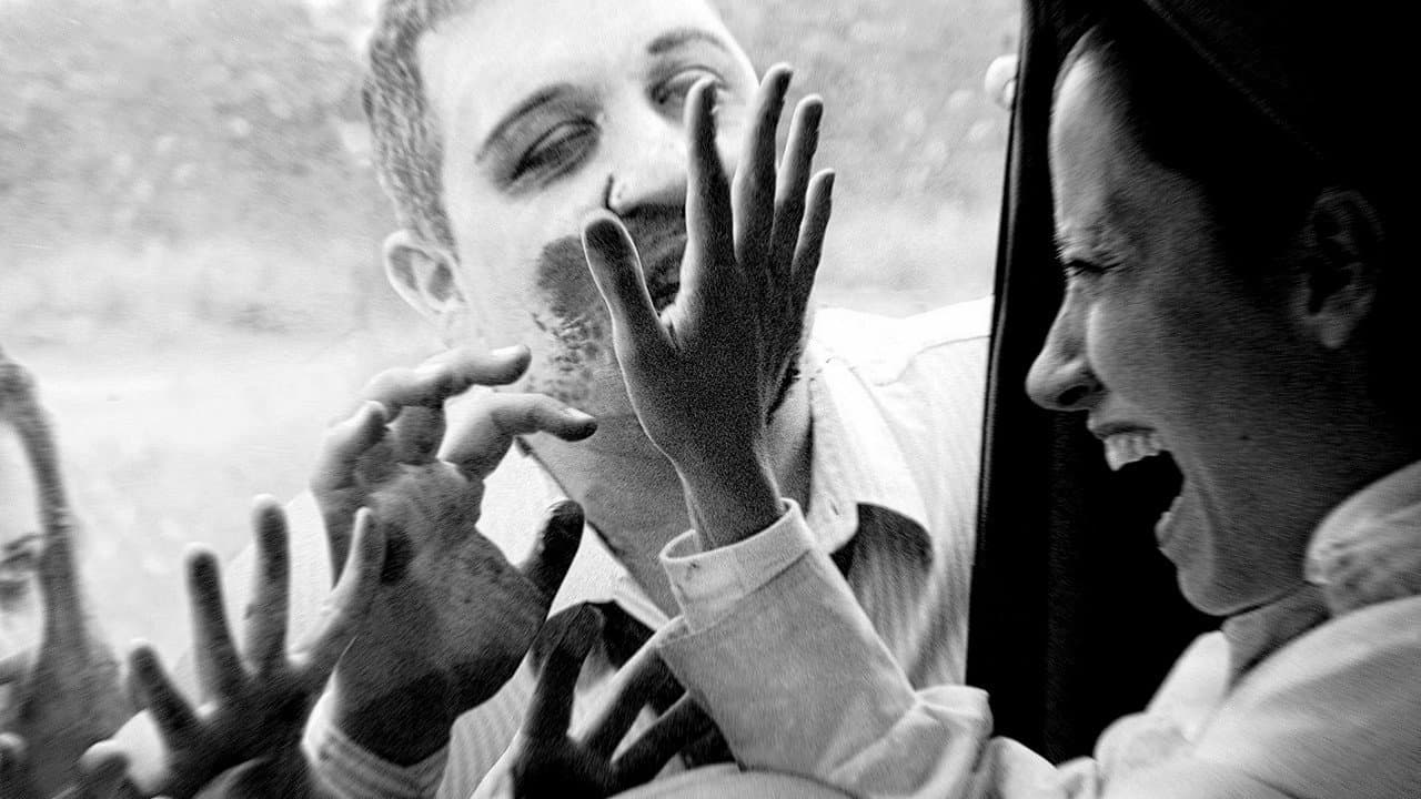 Zombies en el cañaveral: el documental - immagine