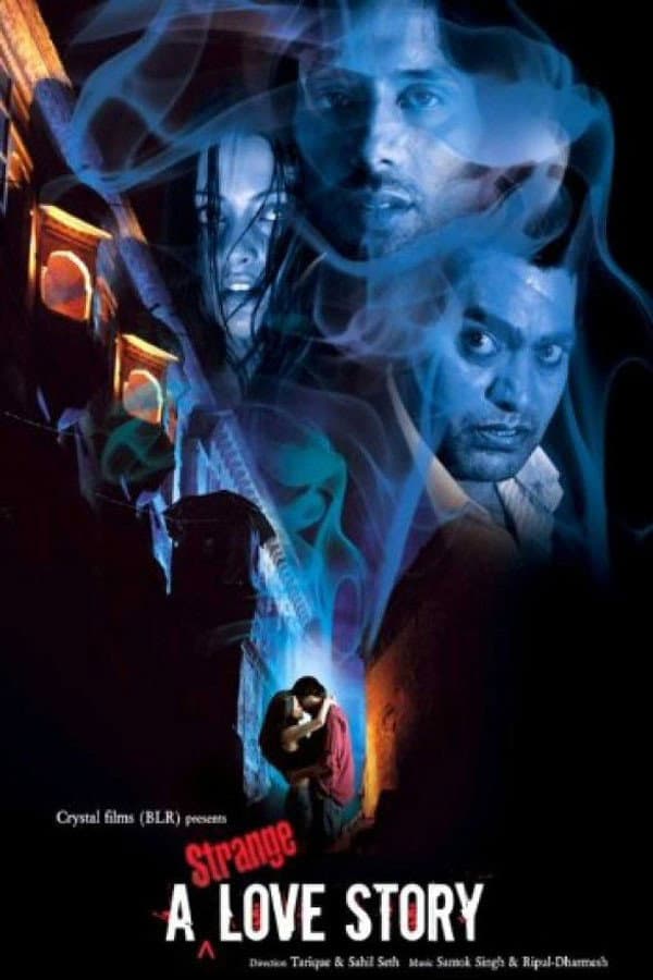 Poster di A Strange Love Story