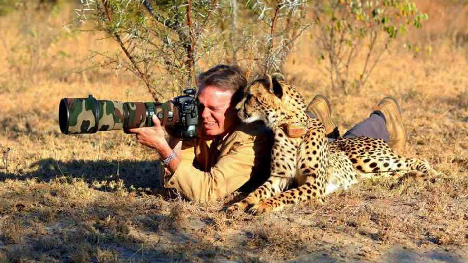 Born Wild - immagine