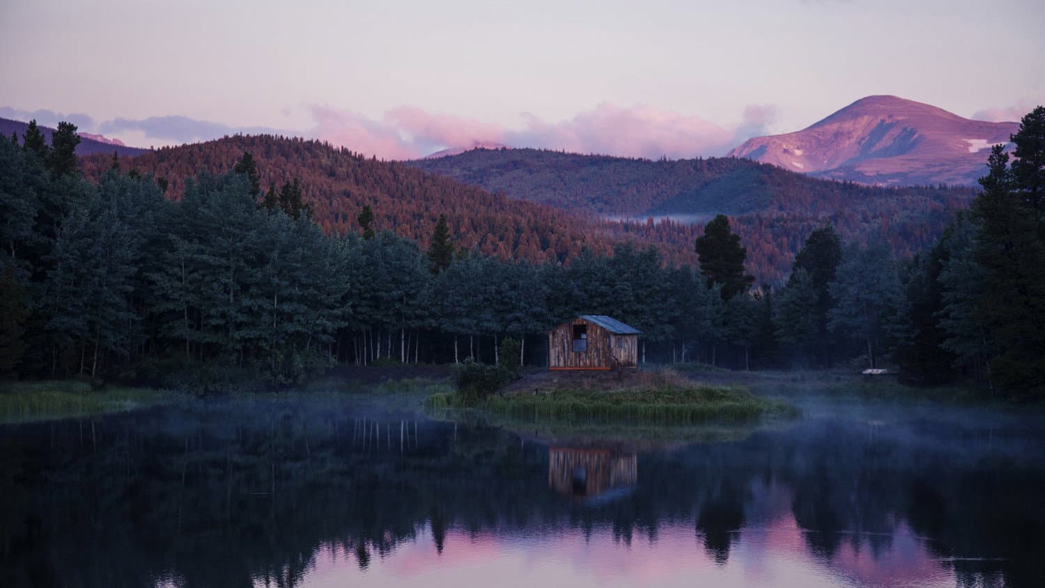 Walden: Life in The Woods - immagine