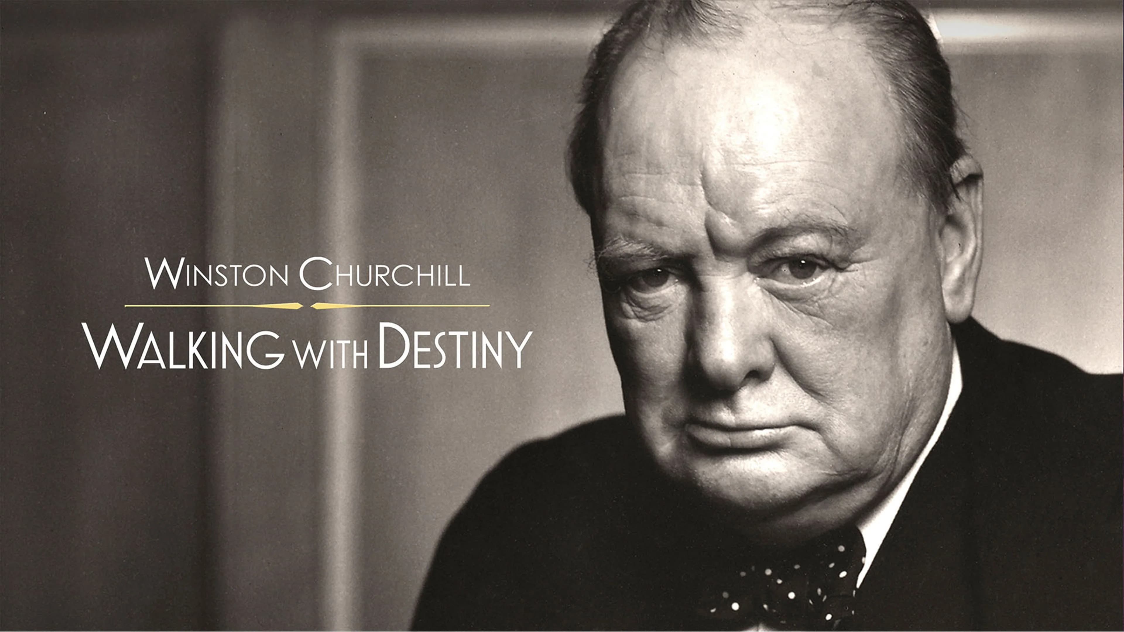 Winston Churchill: Walking with Destiny - immagine