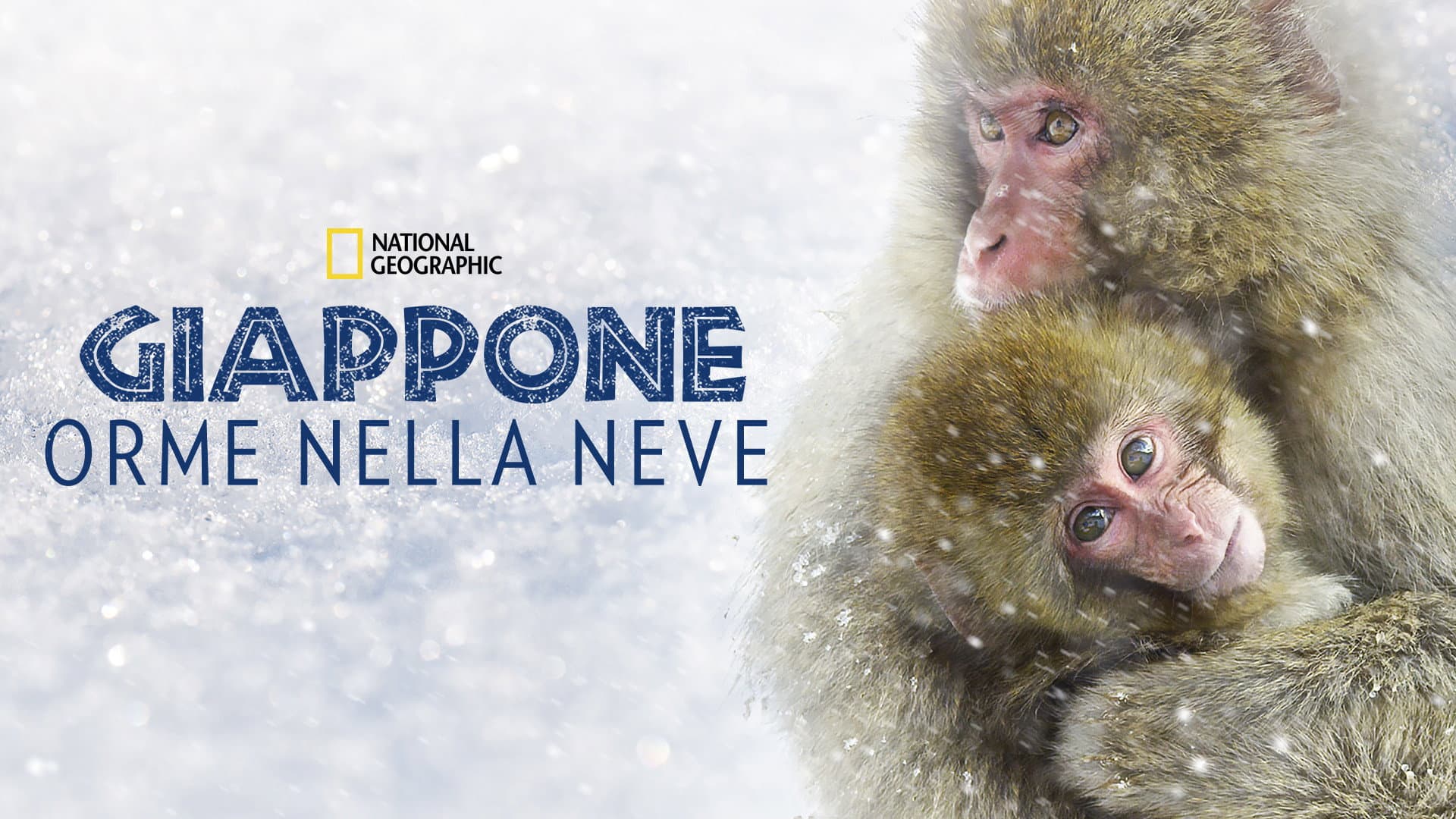 Giappone: Orme Nella Neve - immagine