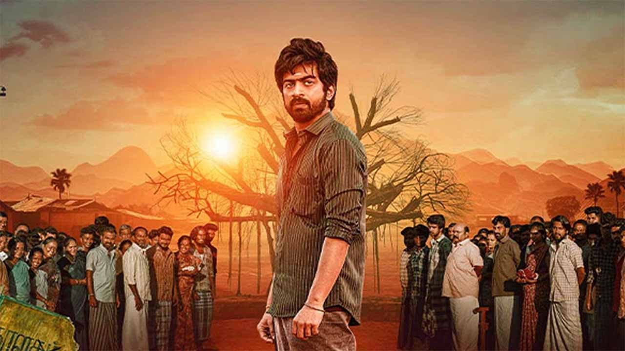 பாம் - immagine