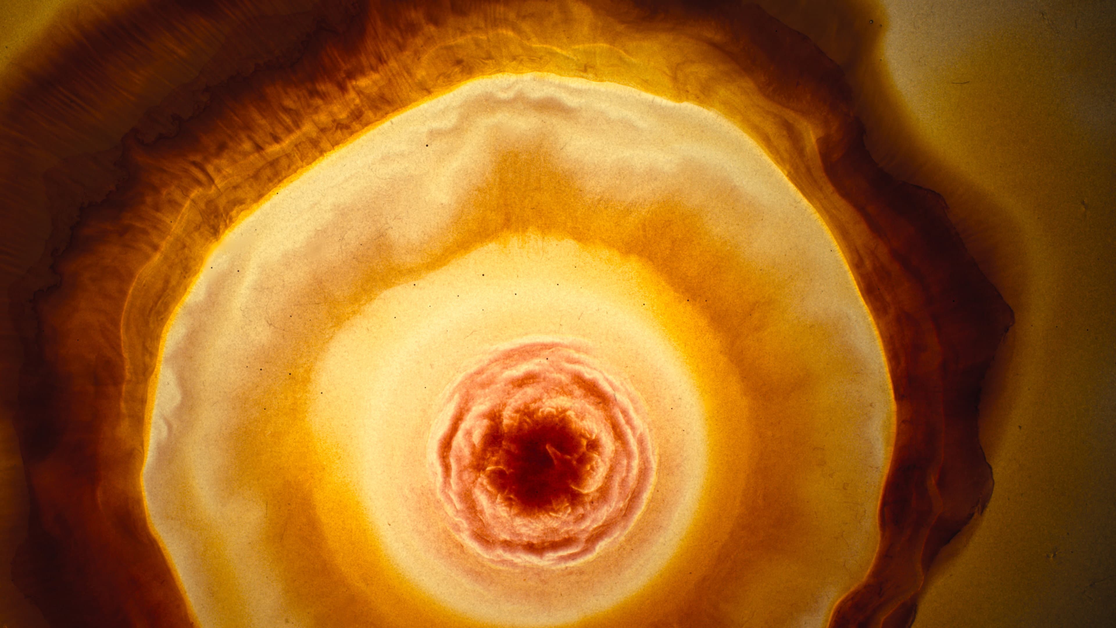 Voyage of Time - Il cammino della vita - immagine