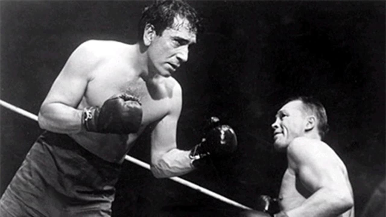 The fighter - immagine