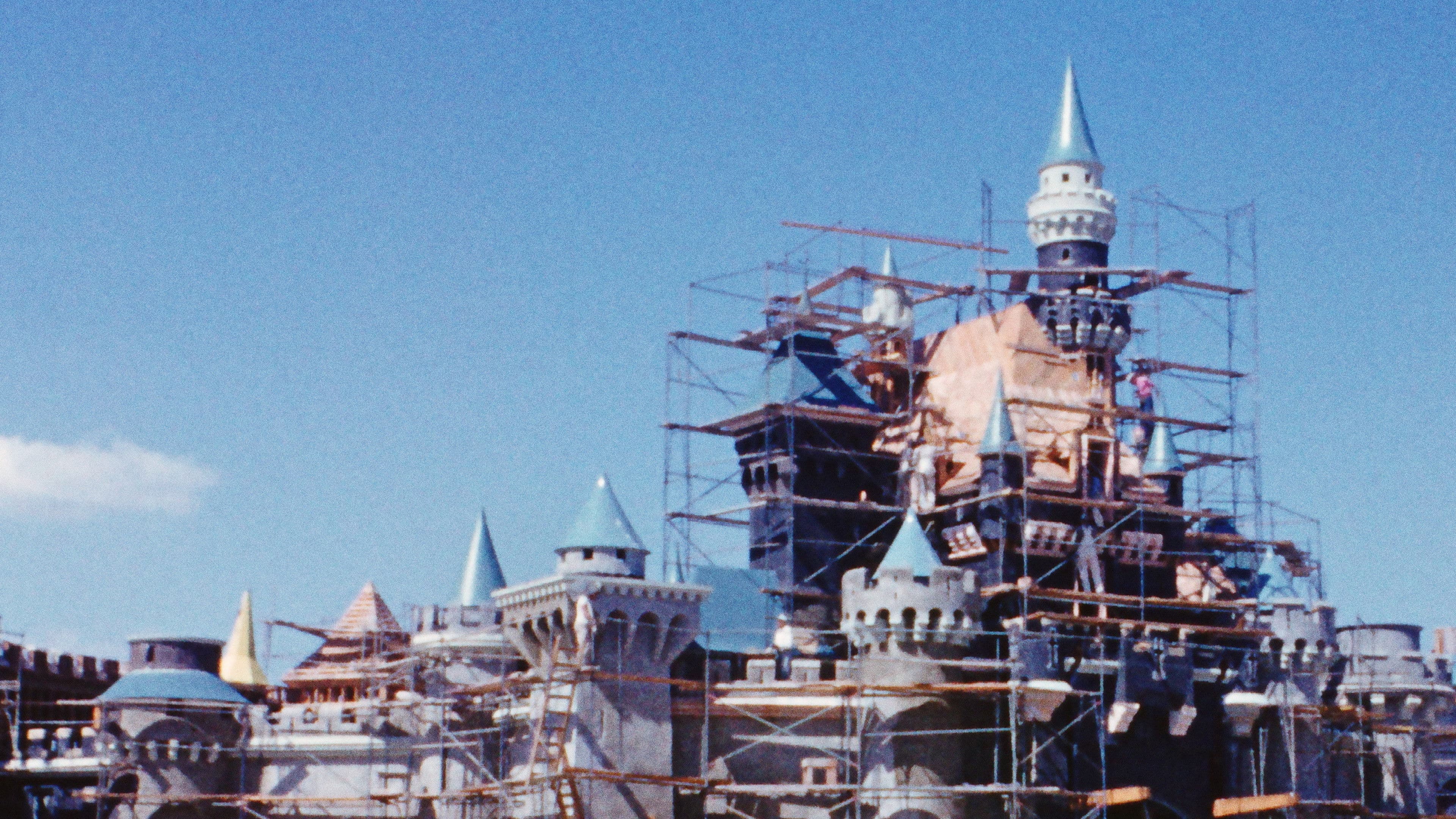 Disneyland Handcrafted - immagine