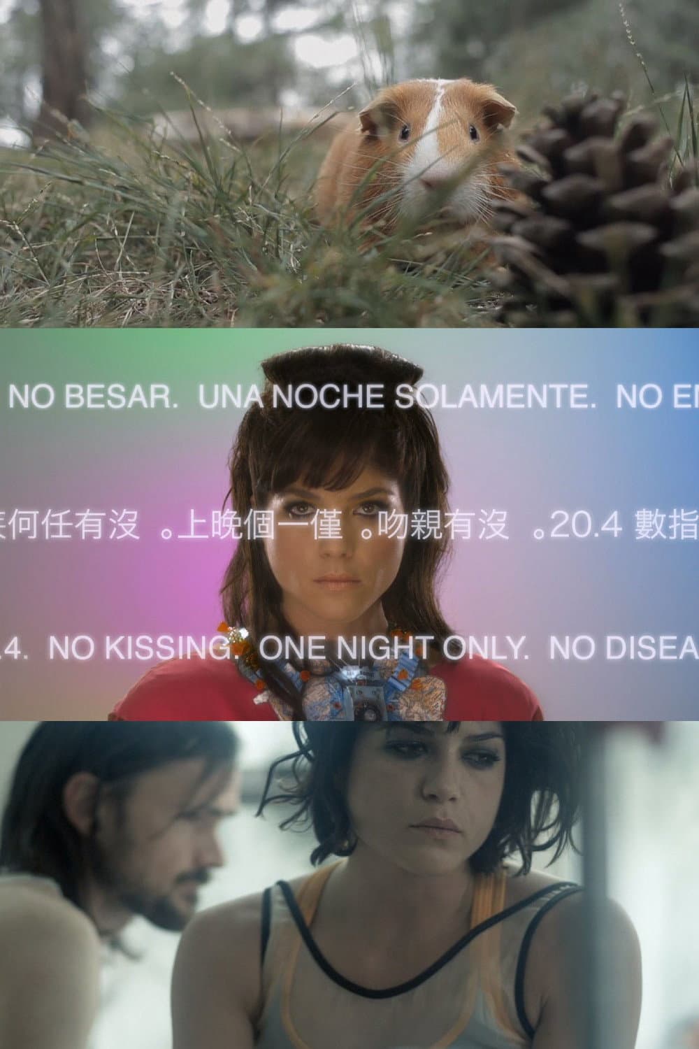 Poster di Animal Love