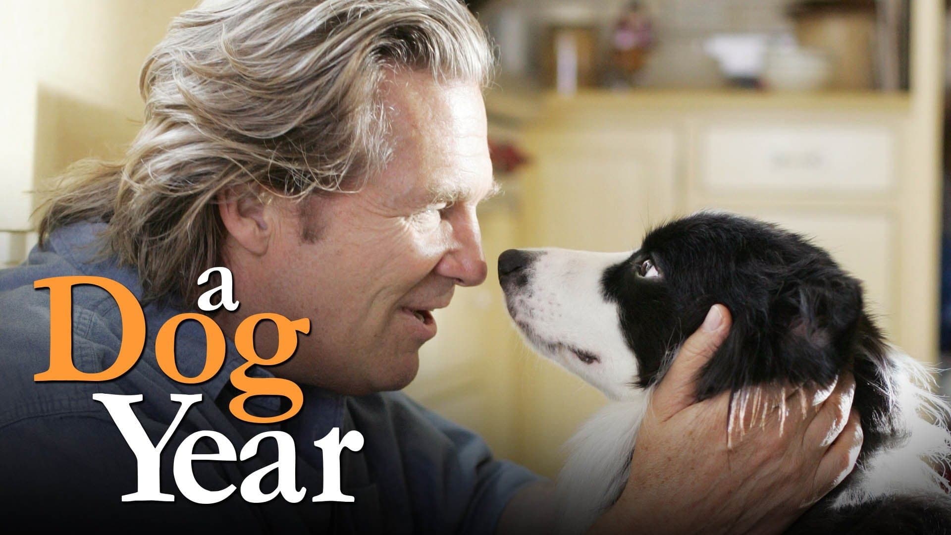 Pet Therapy - Un cane per amico - immagine