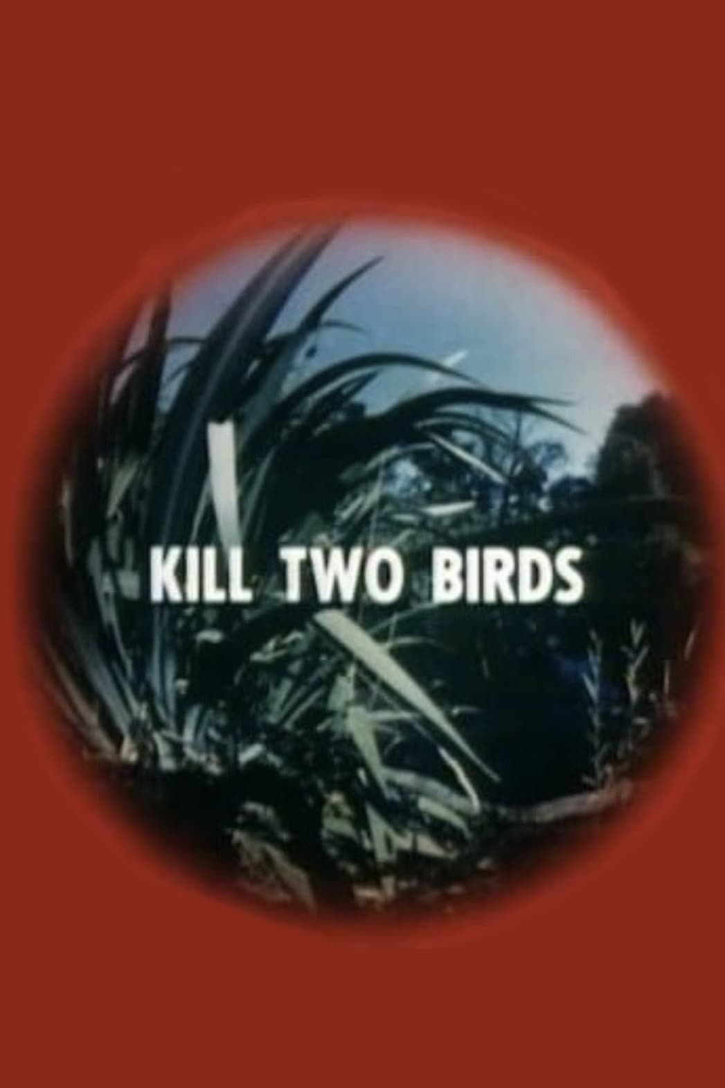 Poster di Kill Two Birds