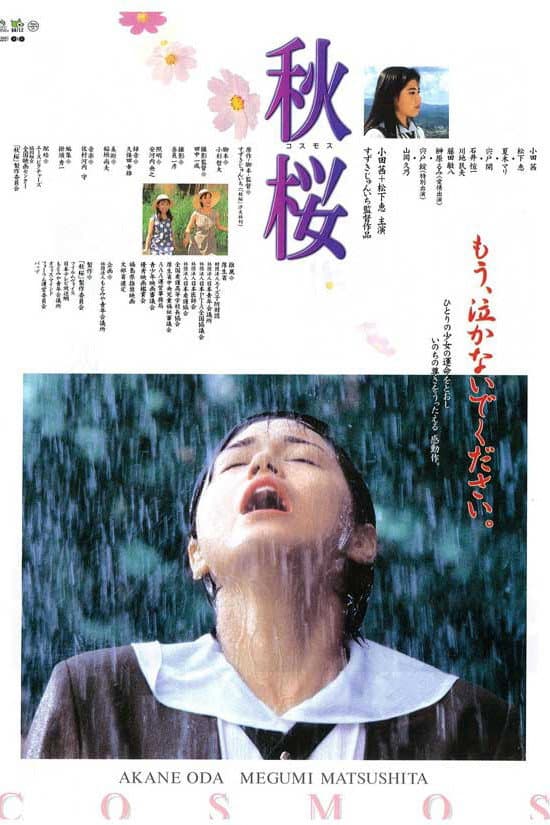 Poster di 秋桜　コスモス