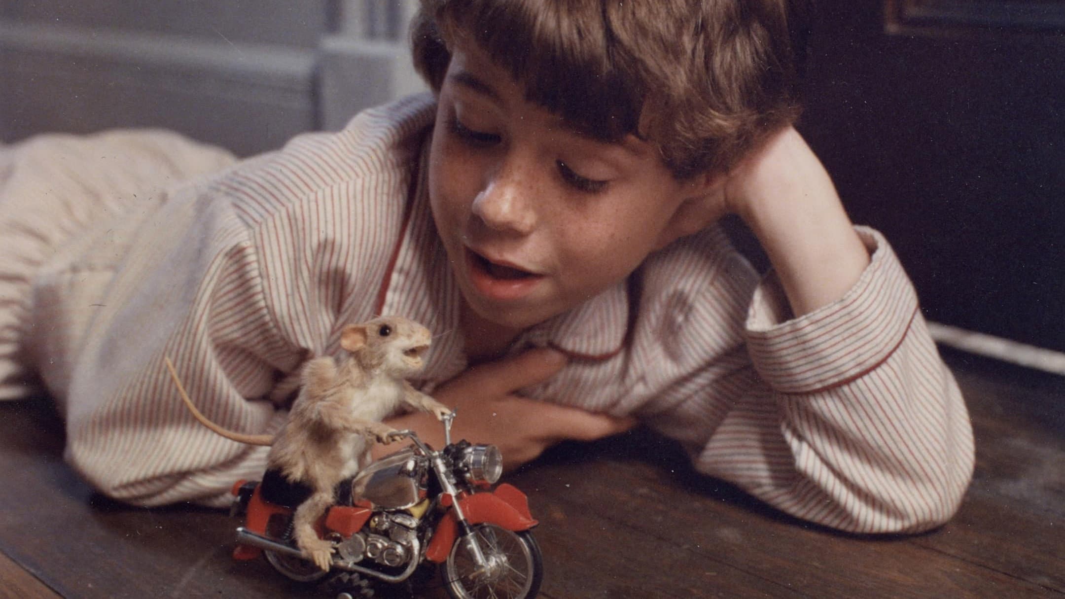 The Mouse and the Motorcycle - immagine