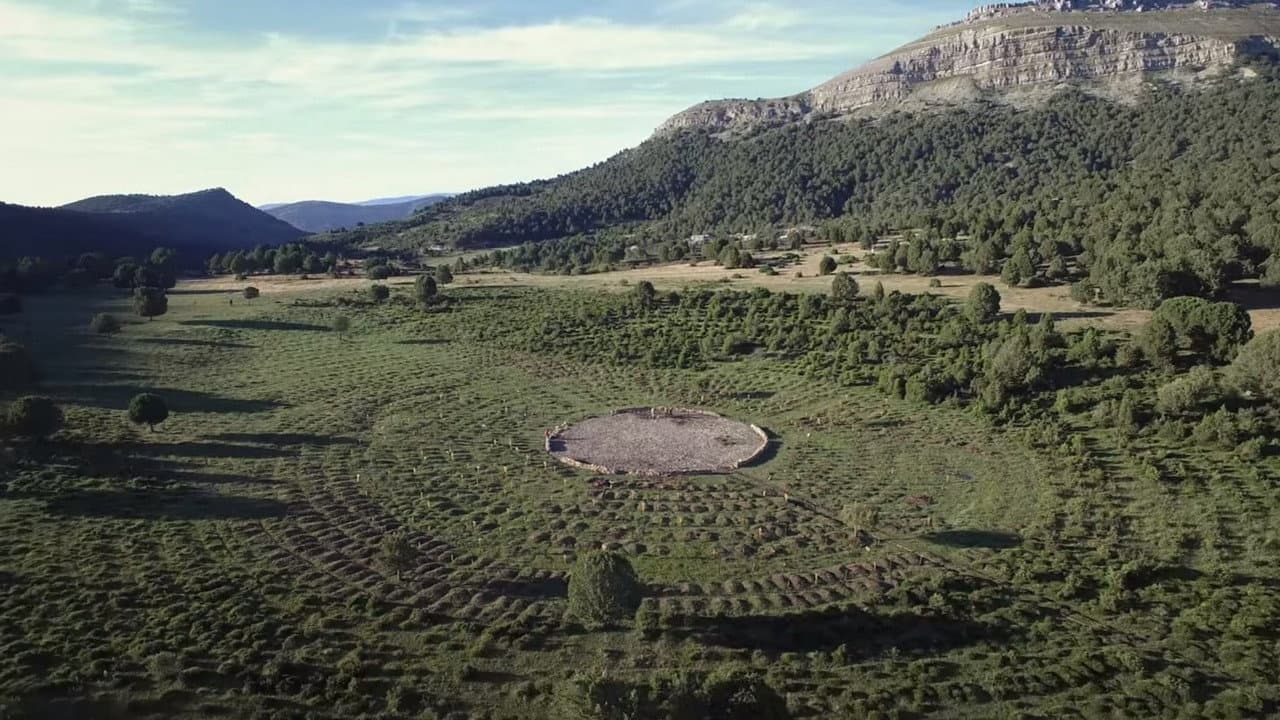 Salvate Sad Hill - immagine