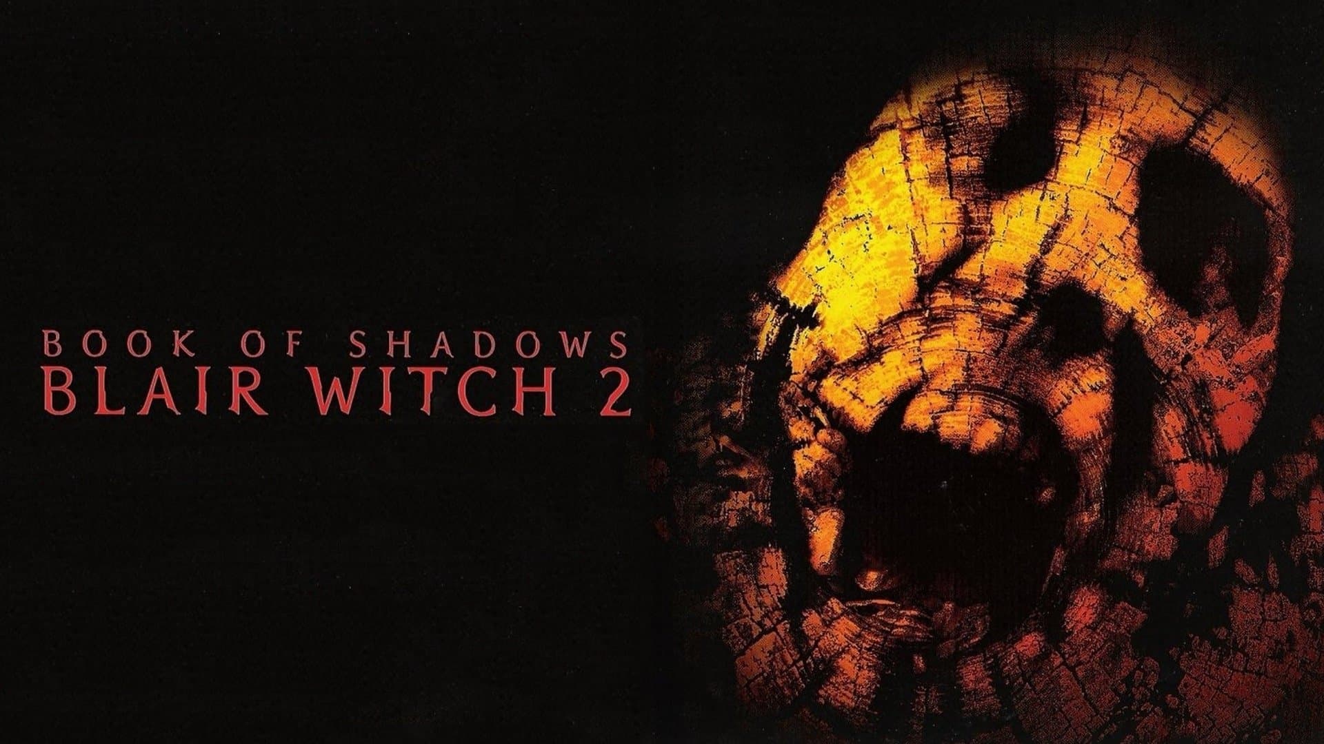 Il libro segreto delle streghe - Blair Witch 2 - immagine