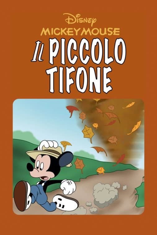 Poster di Il piccolo tifone