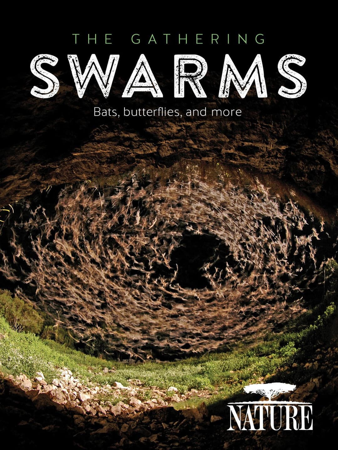 Poster di The Gathering Swarms