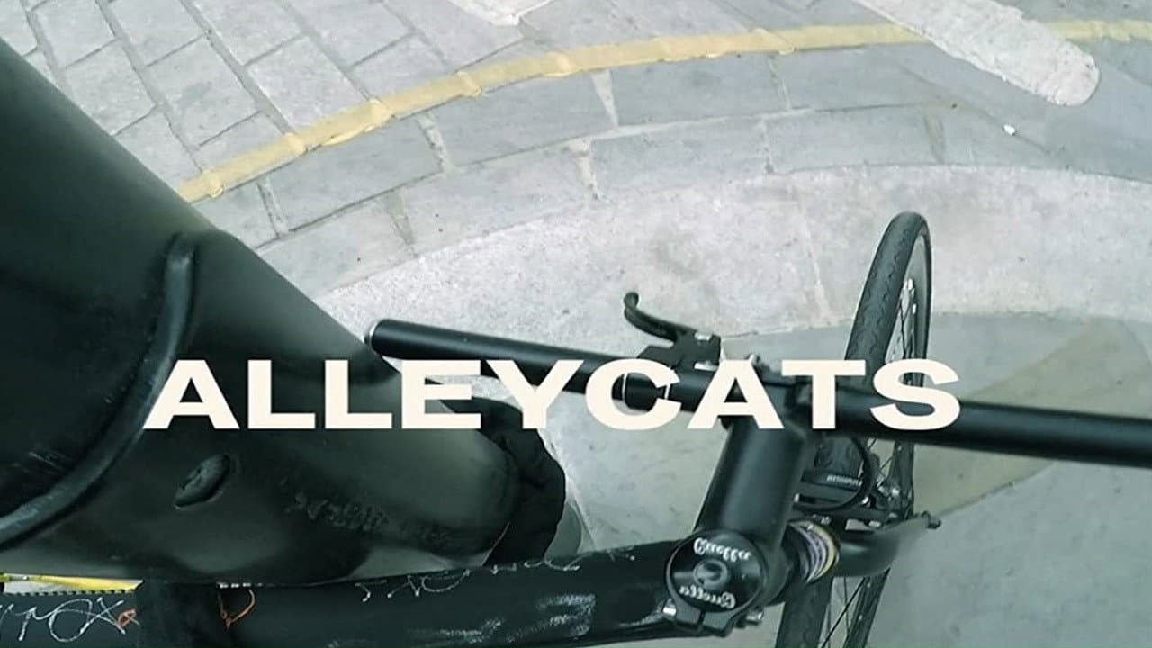 Alleycats - immagine