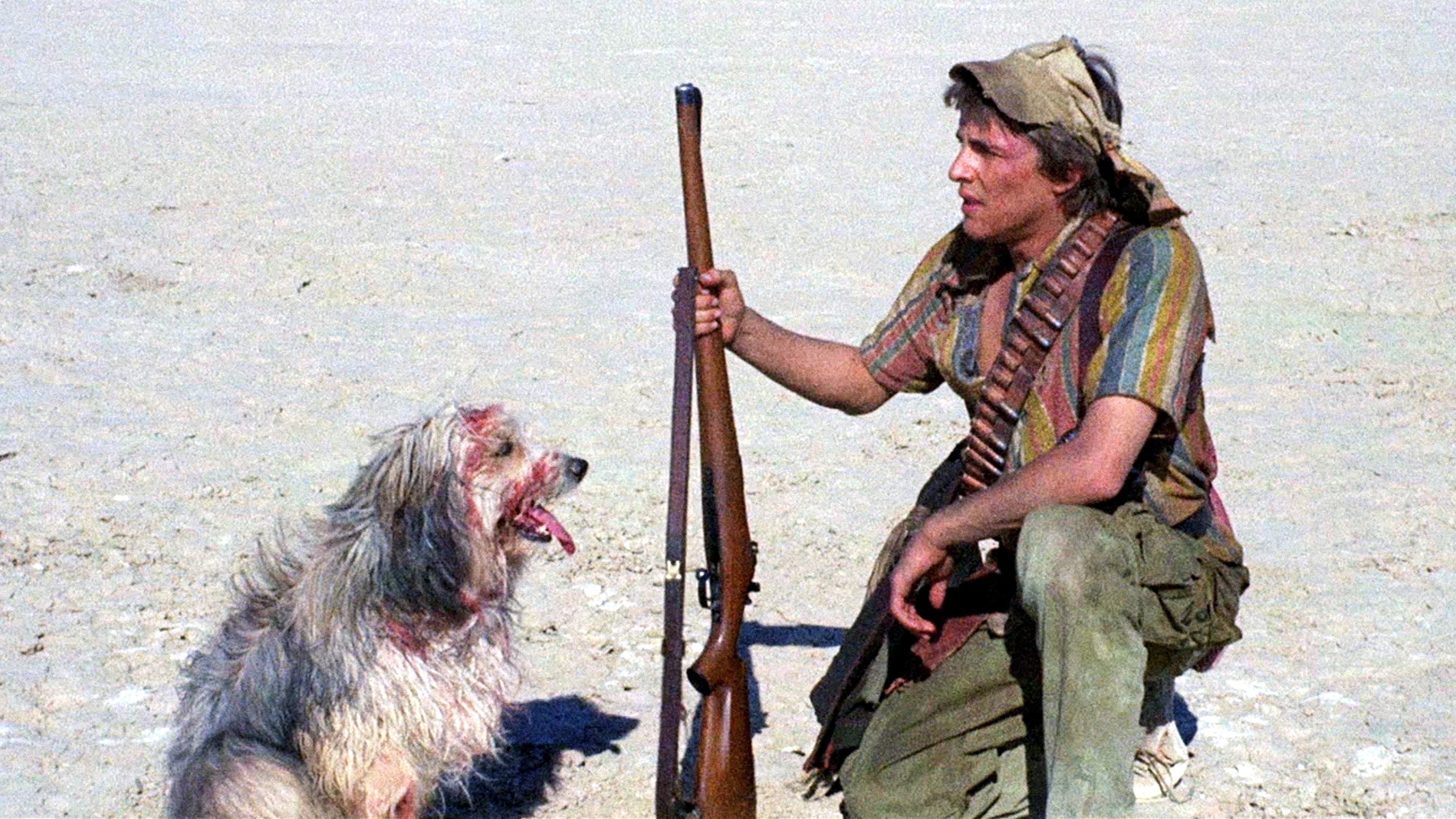 Apocalypse 2024 - Un ragazzo, un cane, due inseparabili amici - immagine