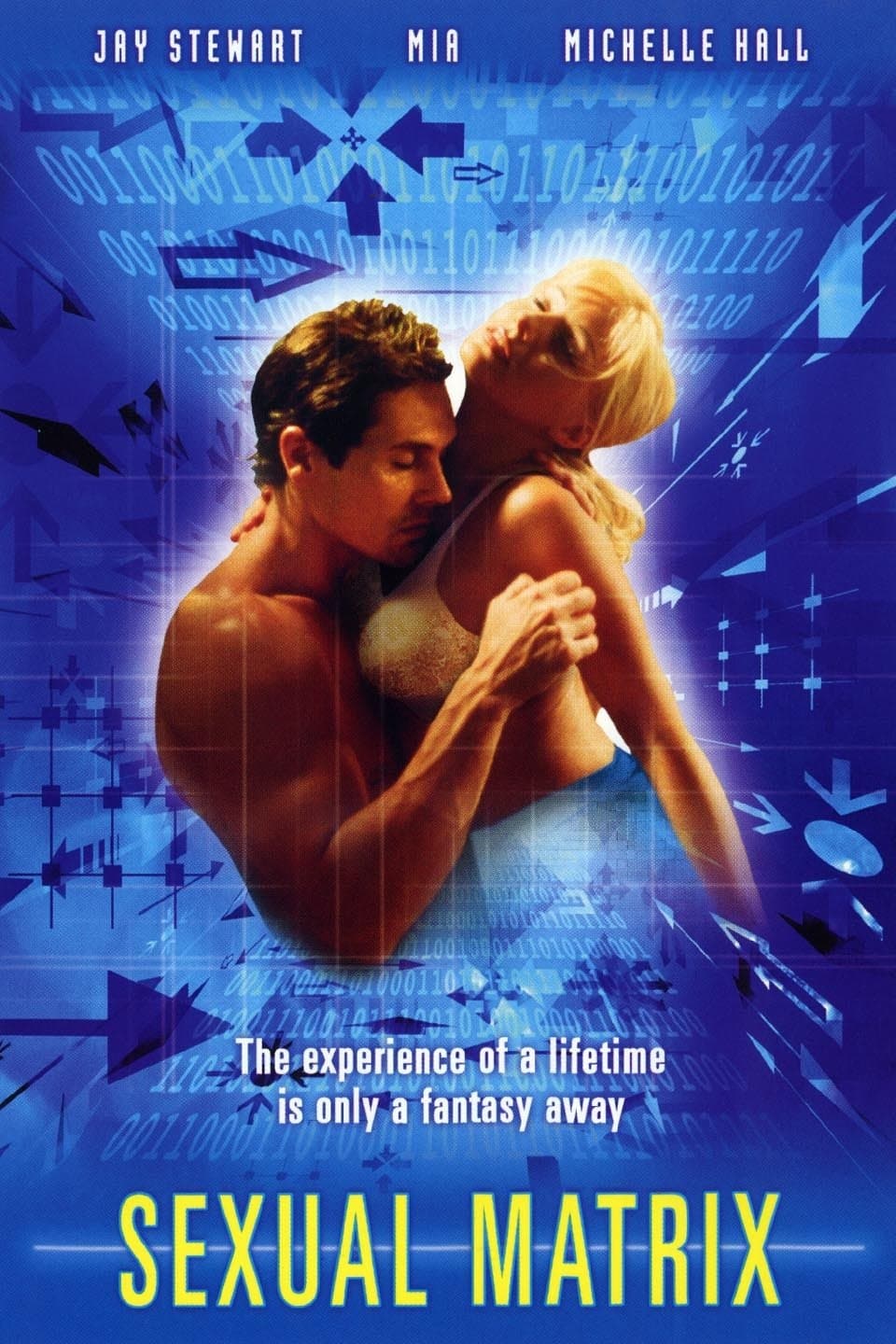 Poster di Sexual Matrix