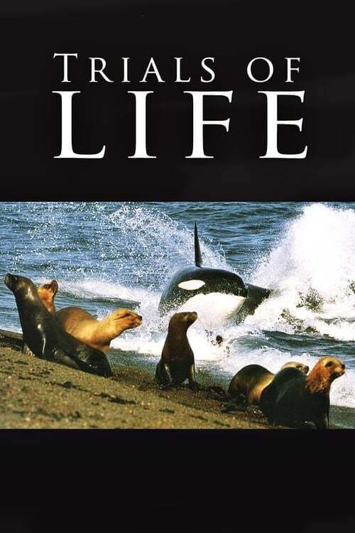 Poster di The Trials of Life