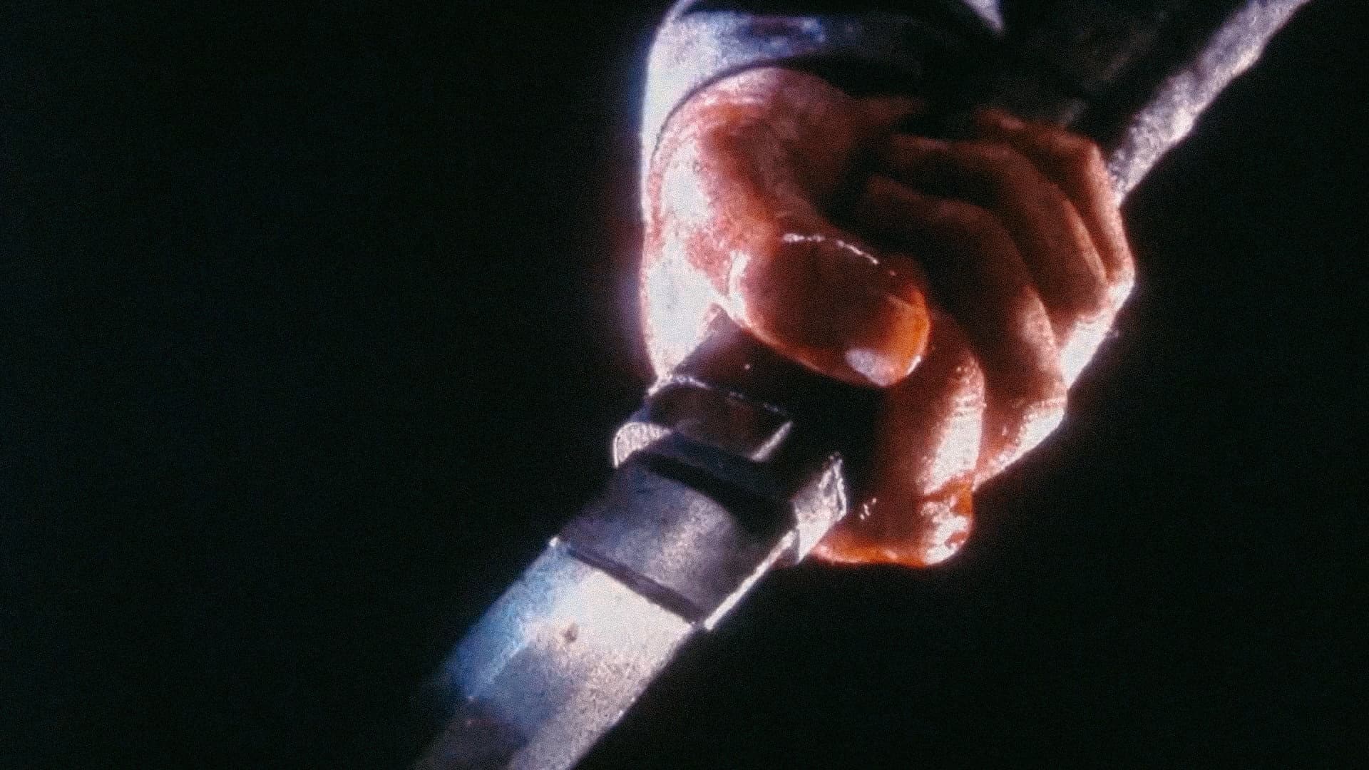 ALIVE - immagine