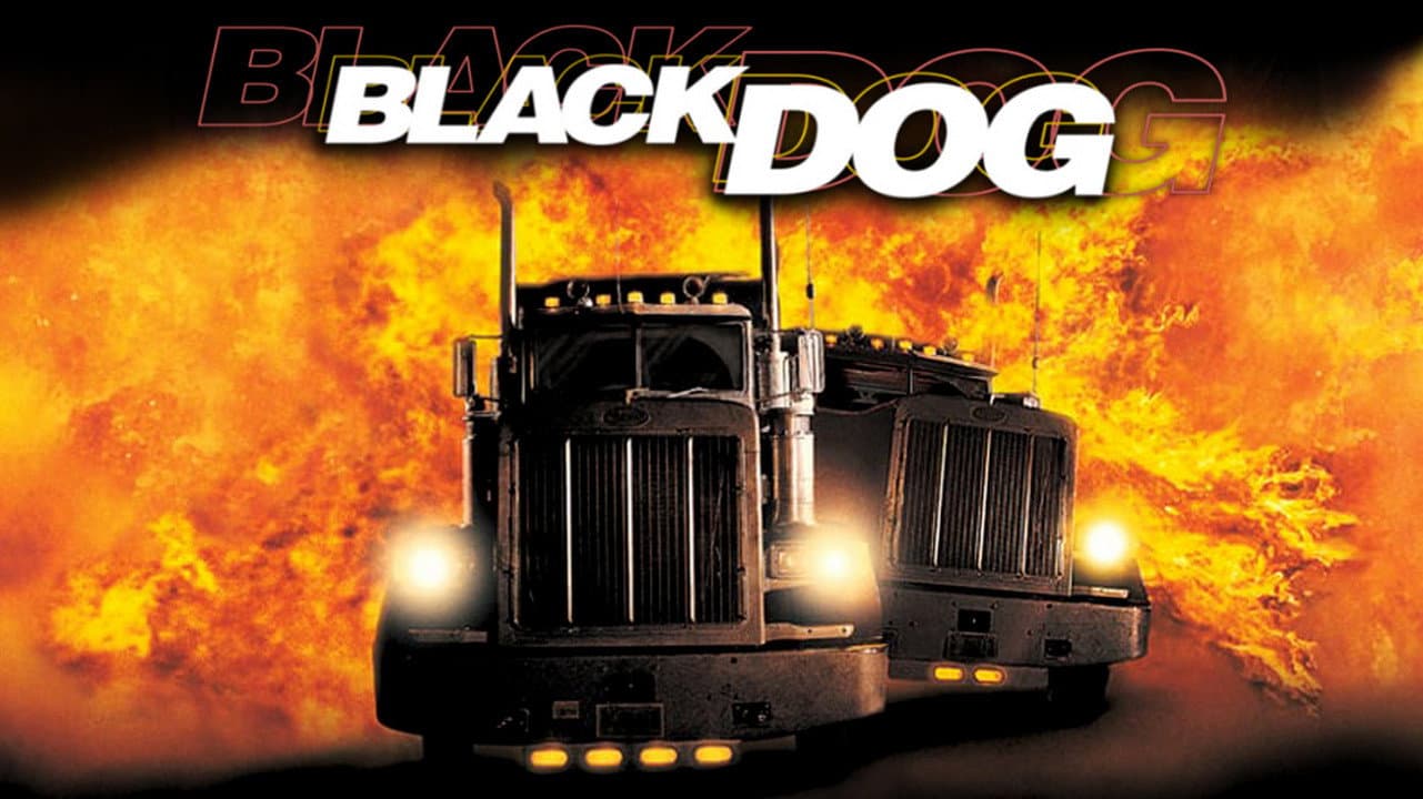 Black Dog - immagine