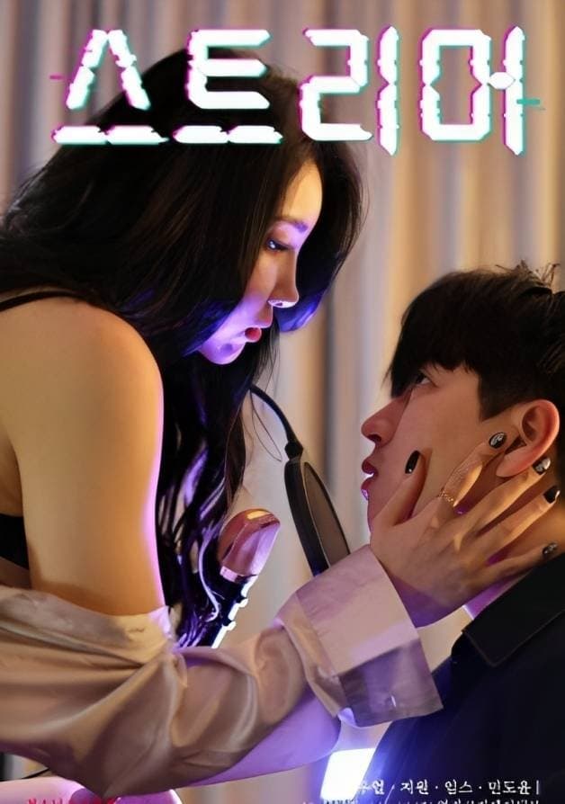 Poster di 스트리머
