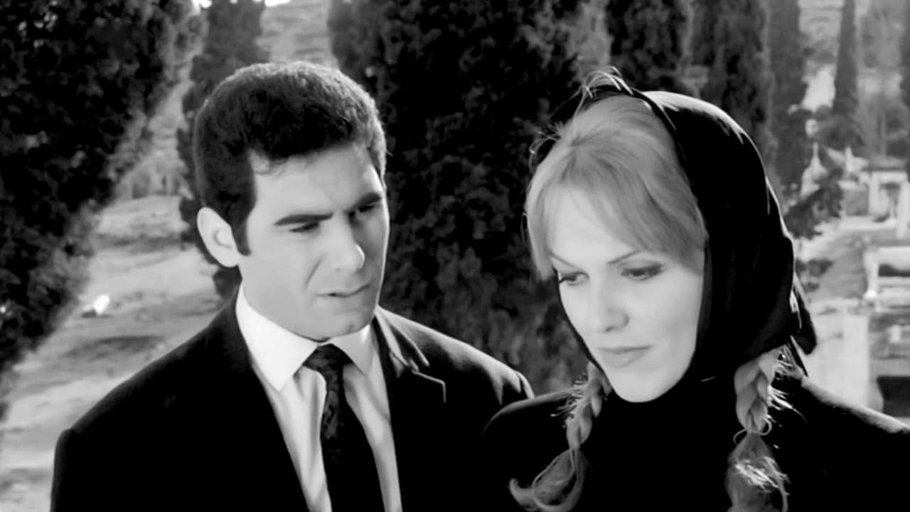 Κυνηγημένη προσφυγοπούλα - immagine