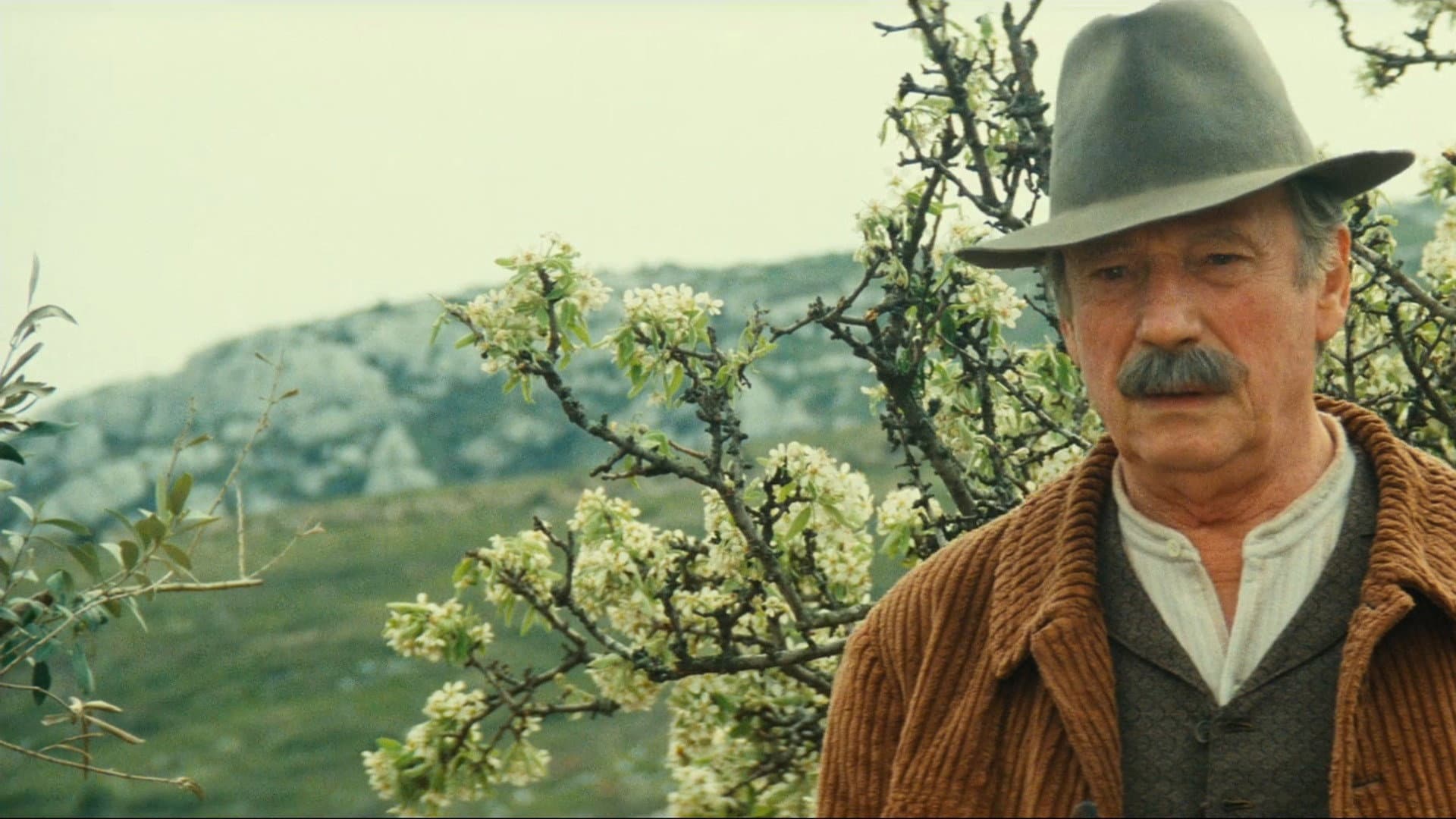 Jean de Florette - immagine