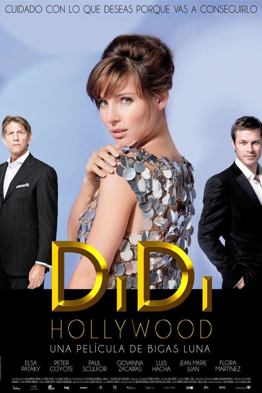 Poster di DiDi Hollywood