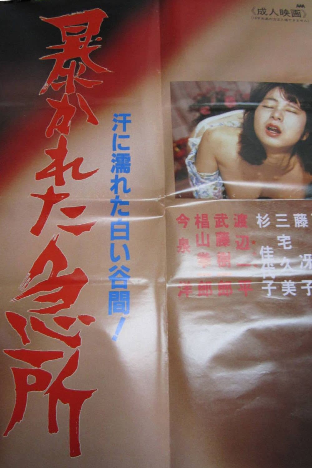 Poster di 暴かれた急所