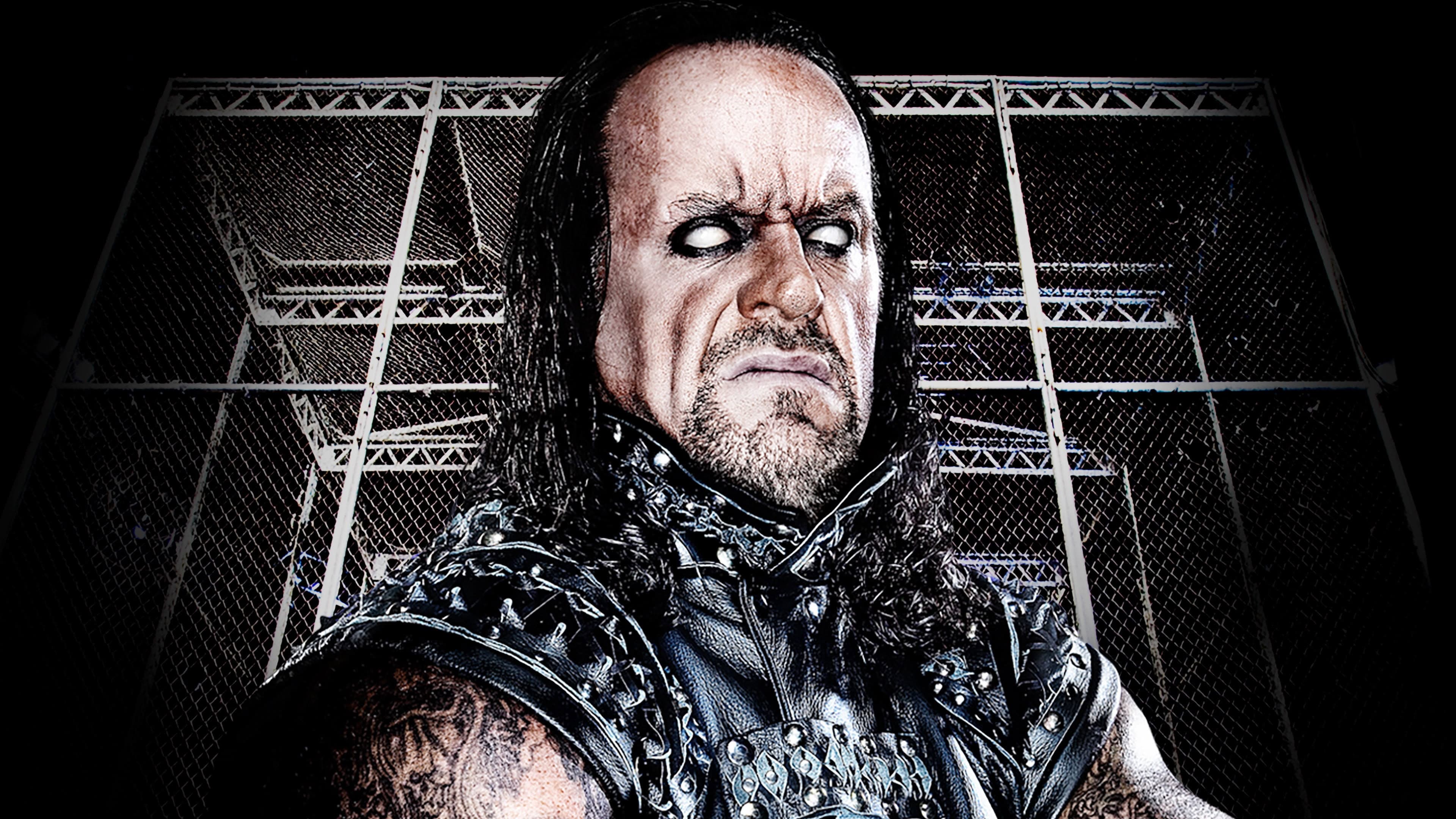 WWE Hell In A Cell 2010 - immagine