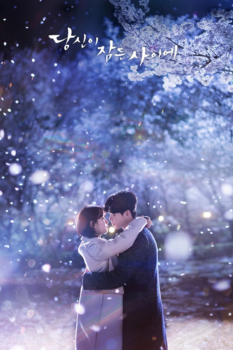 Poster di While you were Sleeping